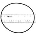 S-Seal Astral 7731392035 Trap O-Ring APCO2350